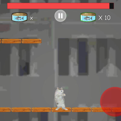 Becker Cat's Adventures