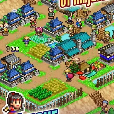 Ninja Village