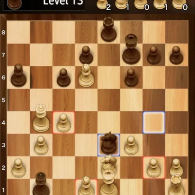 The Chess - Crazy Bishop