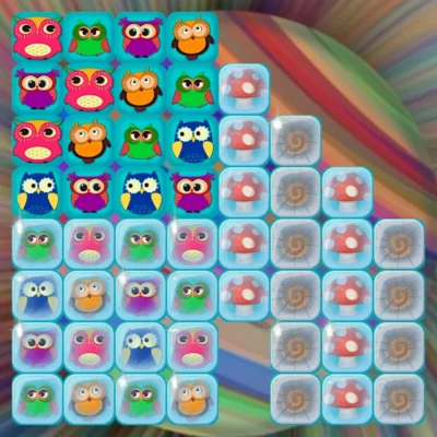 Crazy Owls Puzzle