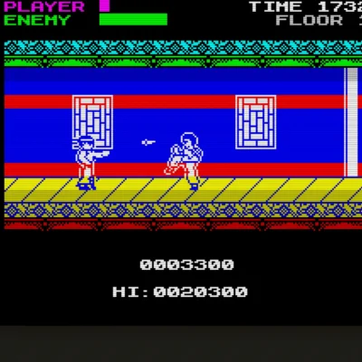 Mister Kung-Fu