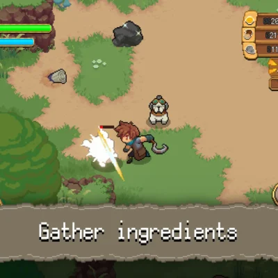 Potion Permit