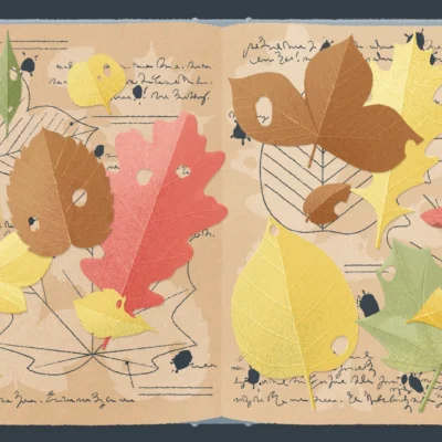 A Little to the Left Stars android screenshot