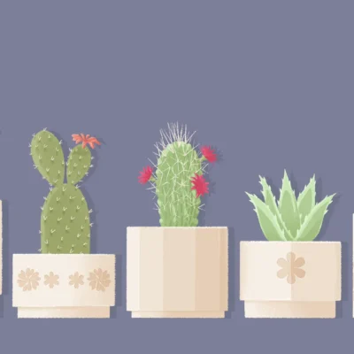 A Little to the Left Stars android screenshot