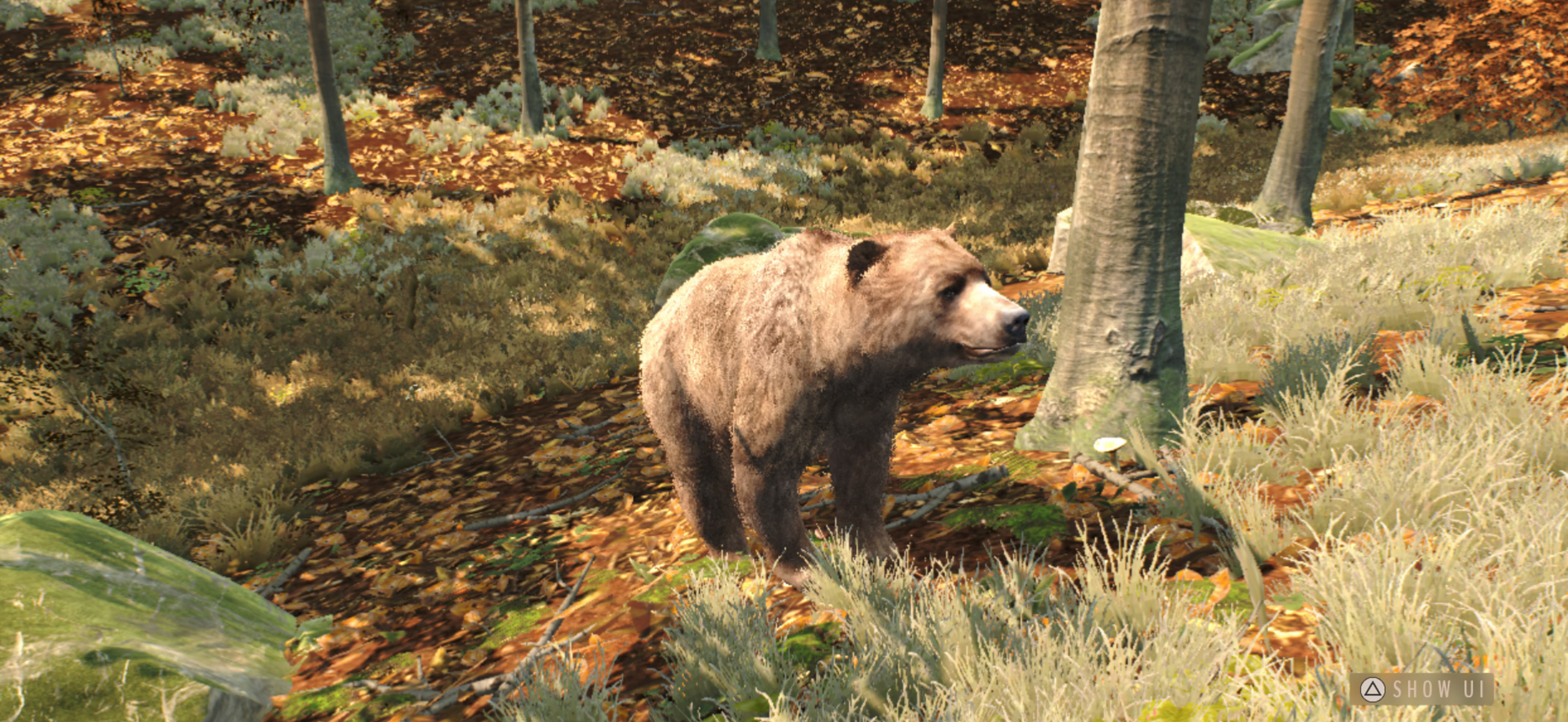 Way of the Hunter Wild Europe Android Screenshot